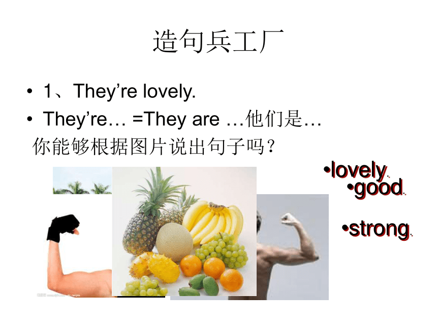 Unit 11 They’re lovely课件