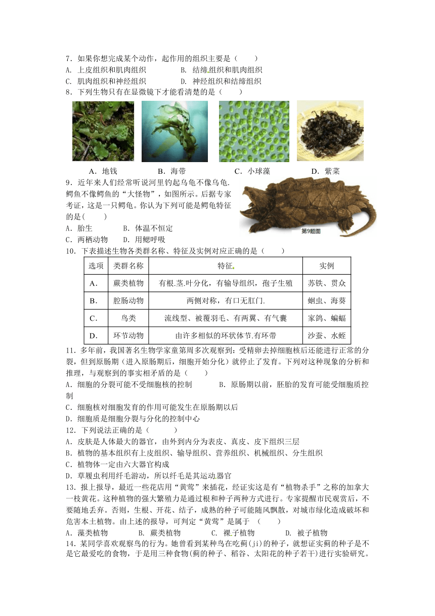 杭州市上城区四校2015-2016学年七年级上学期期中联考科学试题卷（到第2章结束）