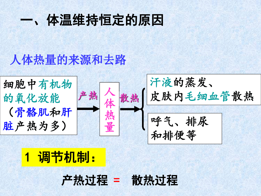 2017-2018学年人教版必修3 第二章第三节神经调节与体液调节的关系 课件（64张)