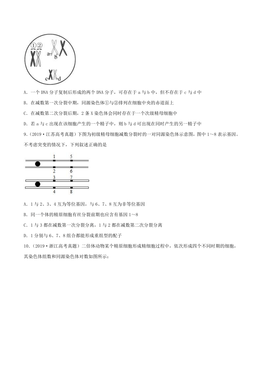 2022年高考生物三年高考真题及模拟题分类汇编：遗传的细胞基础（Word版含解析）