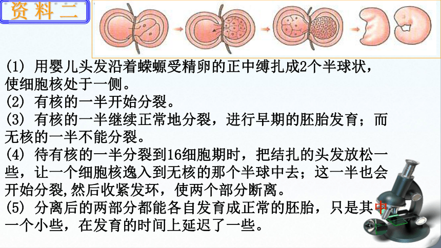 高中生物浙科版必修1 分子与细胞第二章 细胞的结构第四节  细胞核课件（20张）