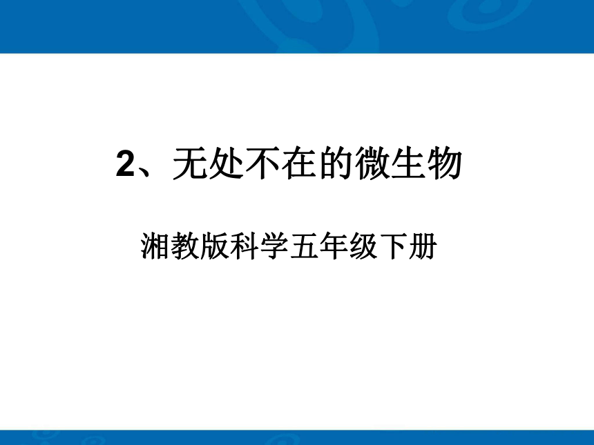 3.2《无处不在的微生物》 课件1