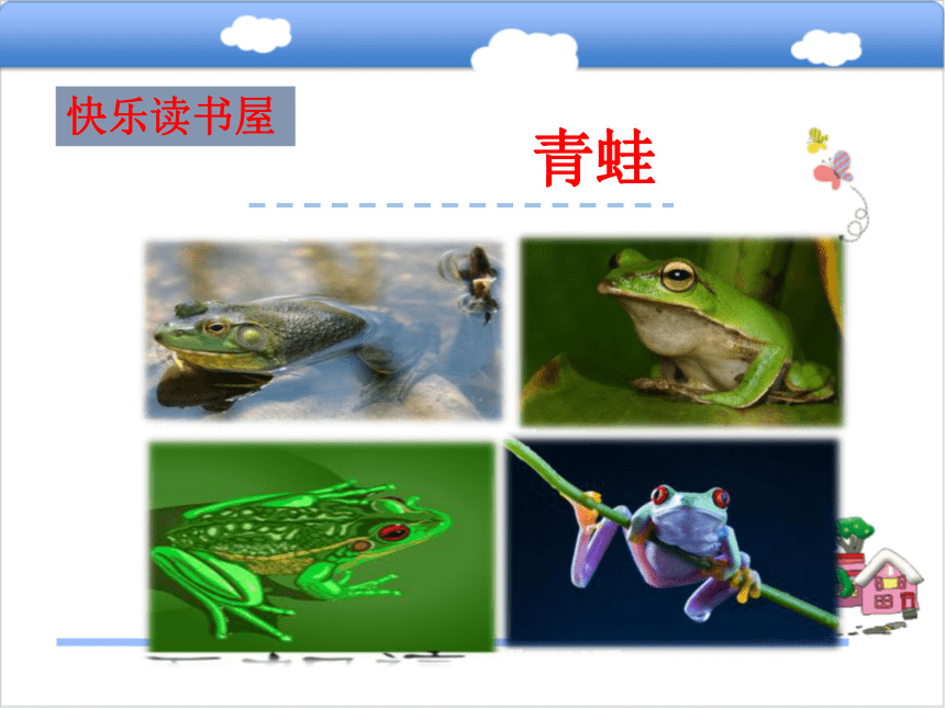 小学语文教科版三年级上册快乐读书屋二：青蛙课件课件