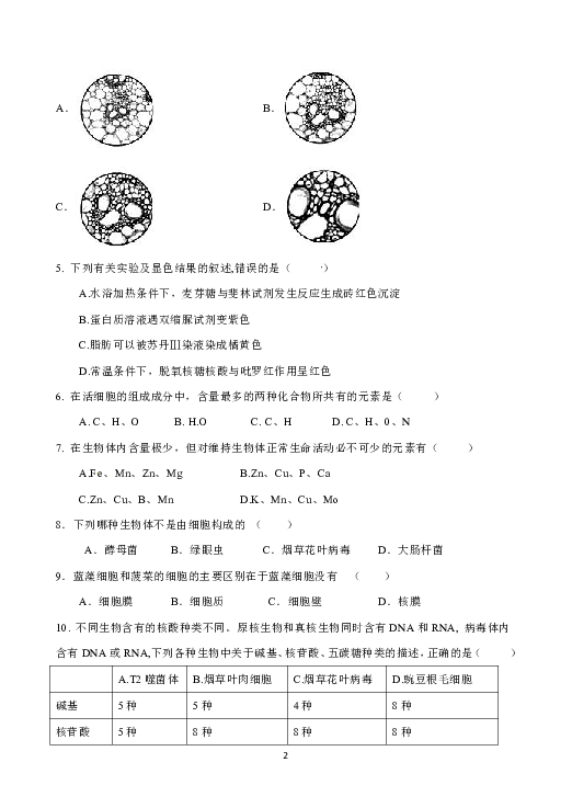 福建省福州三校联盟2018-2019学年高一上学期期中联考生物试题