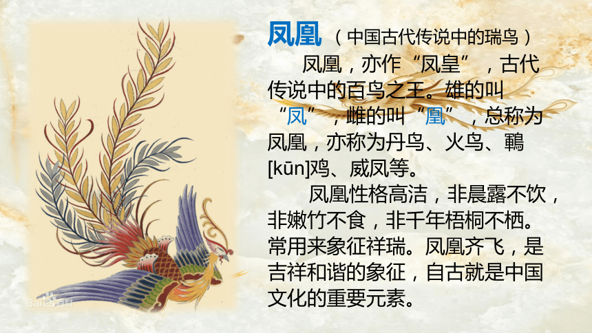 第二单元 飞翔的翅膀 欣赏 百鸟朝凤 课件(共16张ppt)