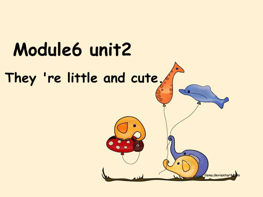英语一年级下外研版(一起)《Module6Unit 2 They’re little and cute》课件1
