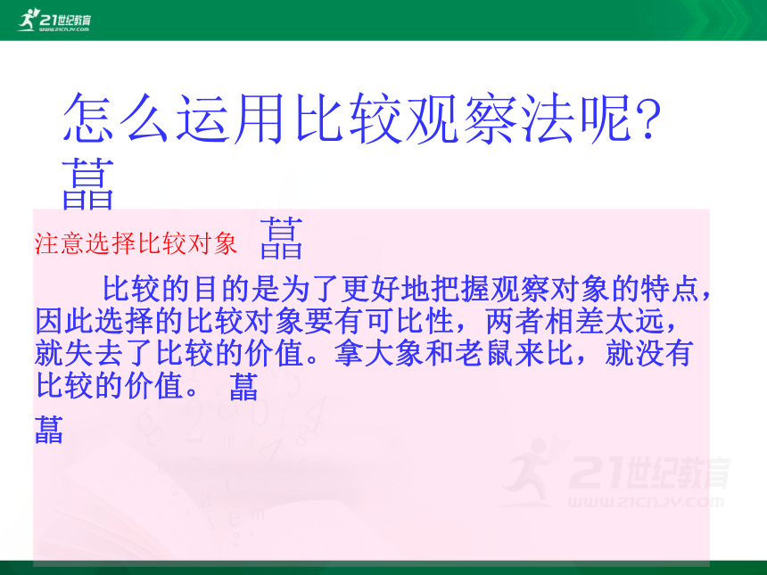 小学语文学科作文  8 名画“正午牡丹” 课件