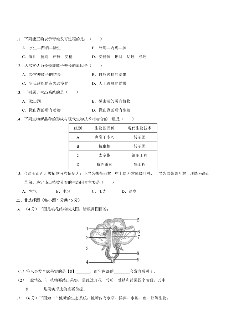 江西省吉安2016-2017学年八年级下册六校联考生物试题