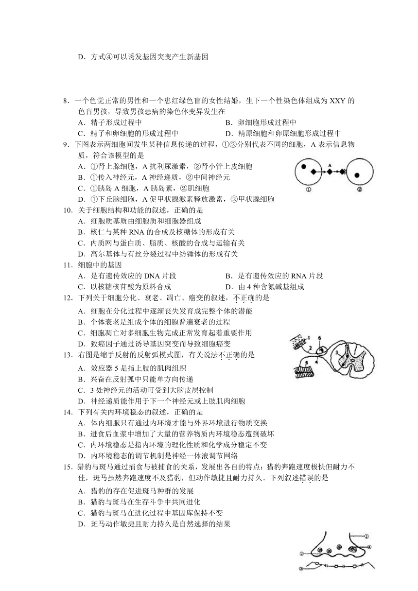 福建省厦门市2013届高三上学期质量检查生物试题