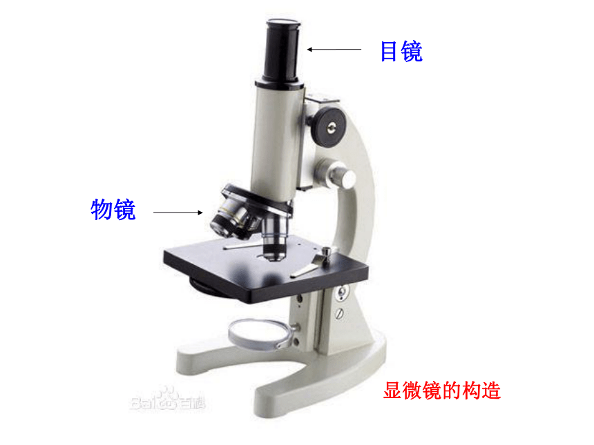 5.5显微镜和望远镜 课件 (1)