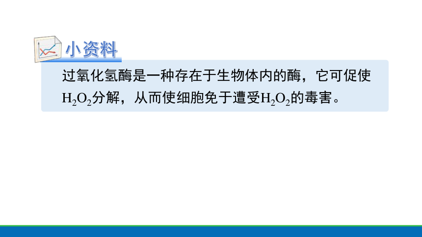 4.2食物的消化与吸收 课件(共15张PPT)