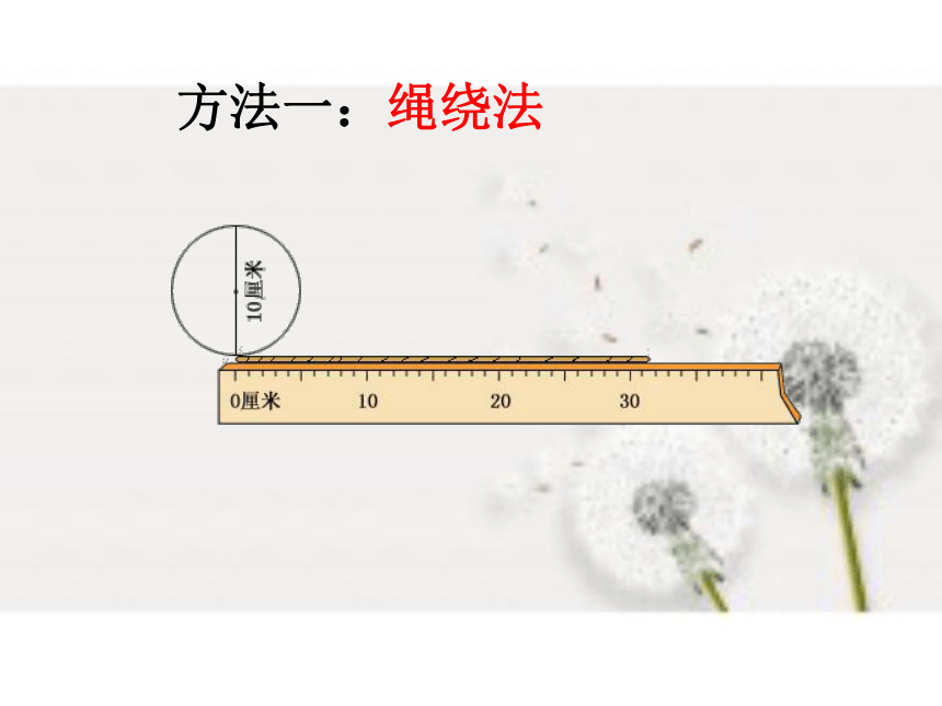 数学六年级上人教版5.2 圆的周长 课件（28张）