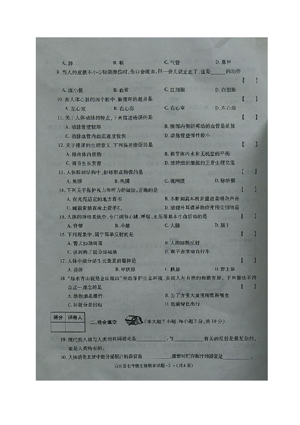 陕西省白水县2018-2019学年七年级下学期期末考试生物试题（图片版，无答案）