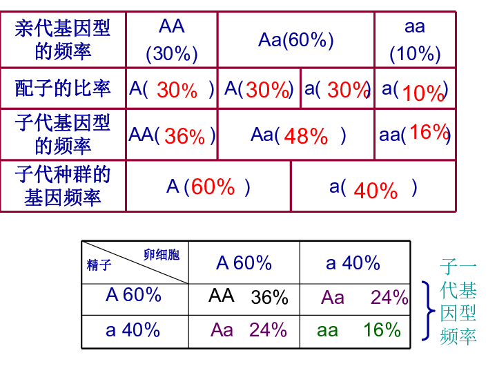 高中生物人教版必修2第七章一 种群基因频率的改变与生物进化 (共18张PPT)