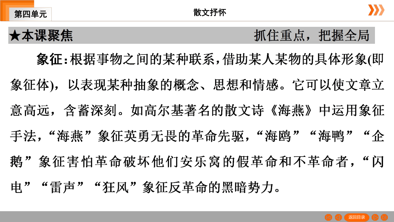 15 白杨礼赞习题课件（共49张幻灯片）