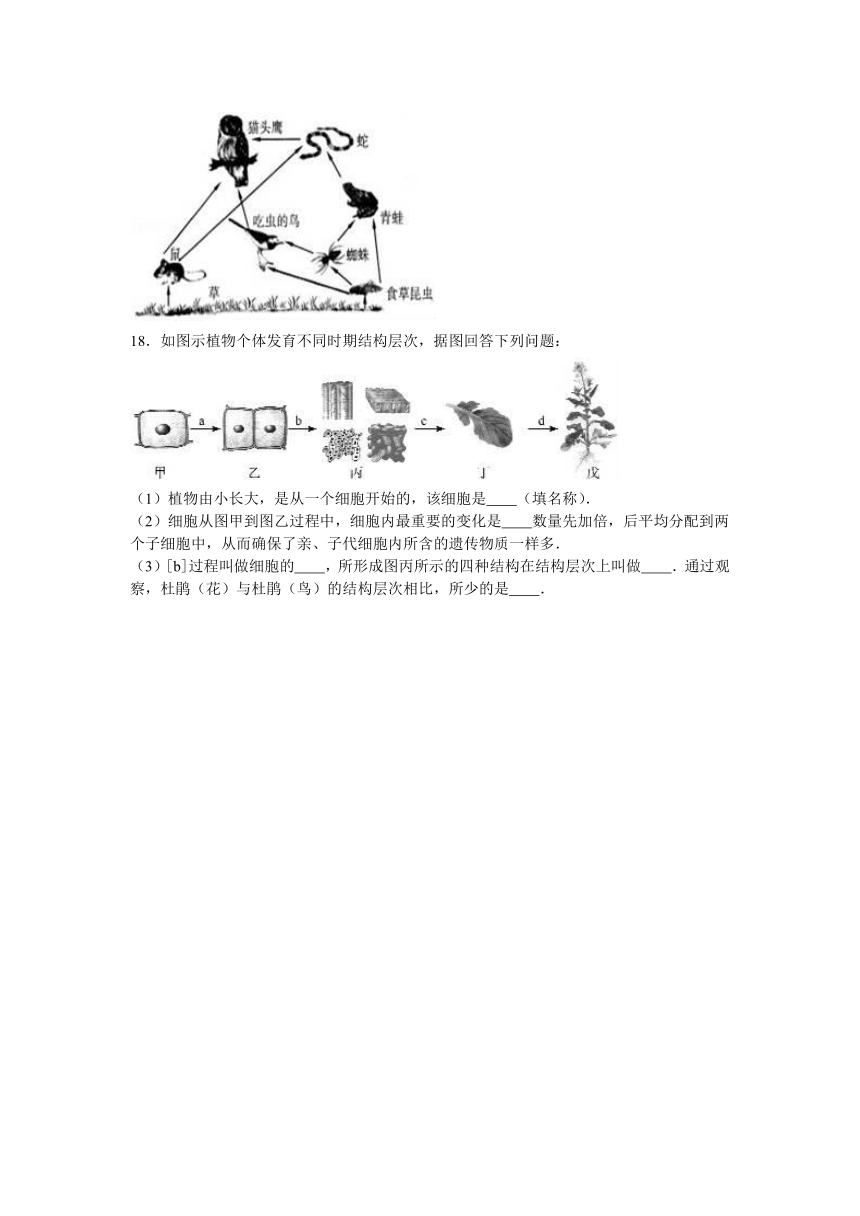 江西省赣州市赣县四中2016-2017学年七年级（上）期中生物试卷（解析版）