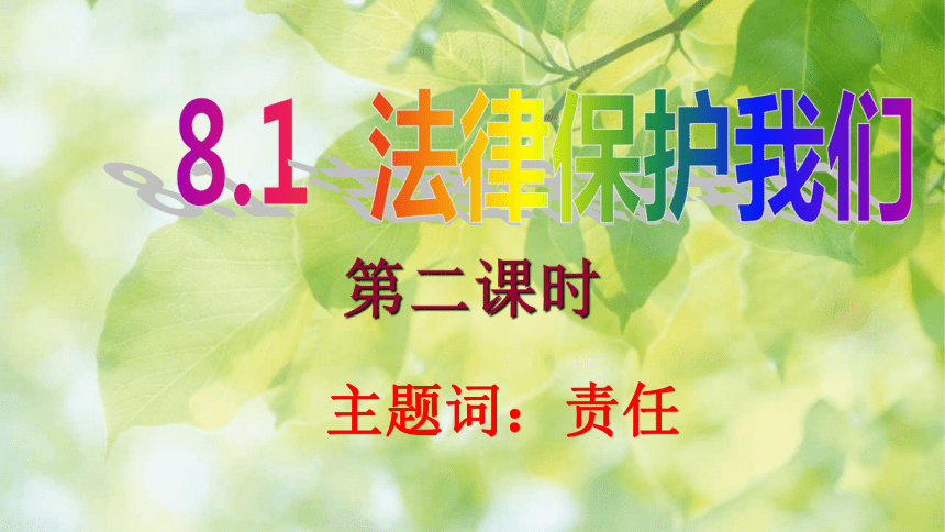 8.1.2 保护未成年人的重要法律 课件