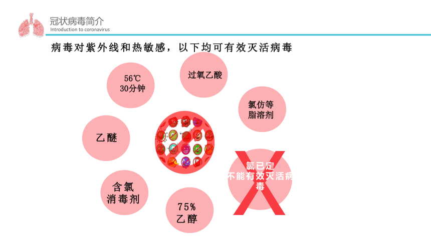 主题班会：防控新冠，从心开始（28ppt）