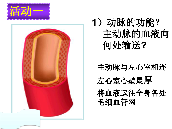 冀教版七下生物 2.3物质运输的路线 课件（25张PPT）