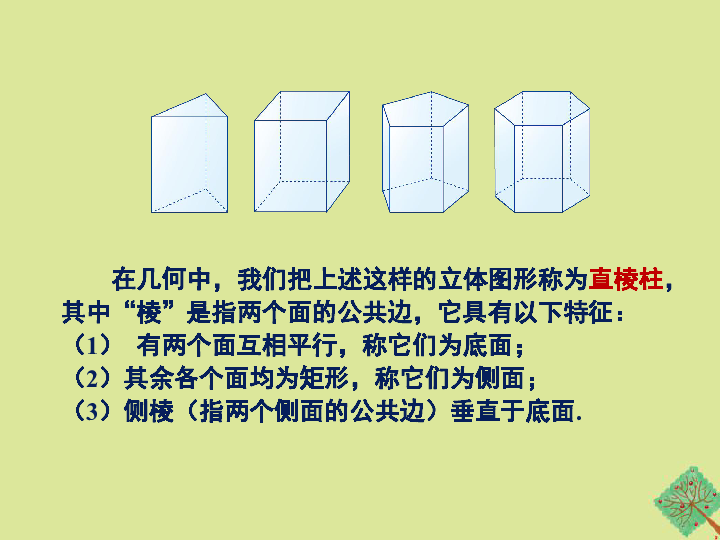 冀教版数学九年级下册32.3 直棱柱和圆锥的侧面展开图教学课件（26张）