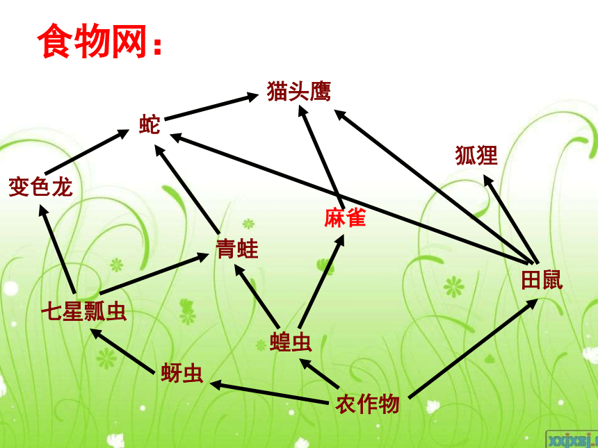 动物在生物圈中的作用 课件2