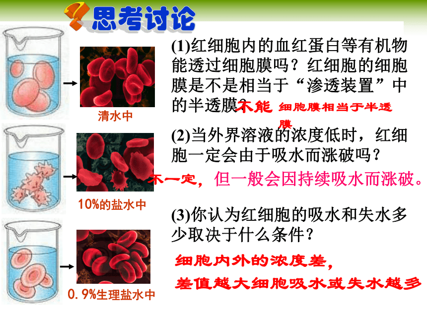 人教版必修一高中生物4-1 物质跨膜运输的实例(31张PPT)