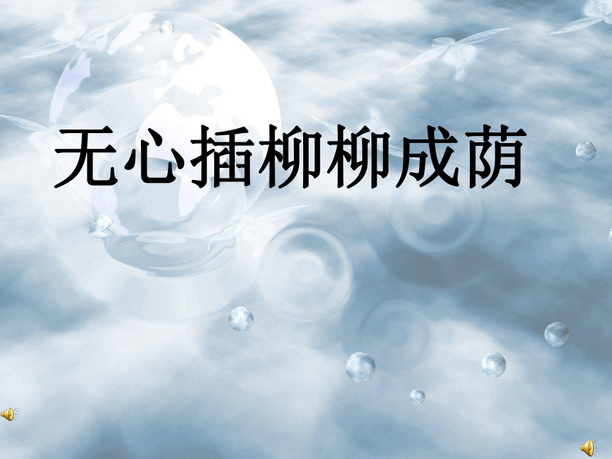 2.2《无心插柳柳成荫》 课件