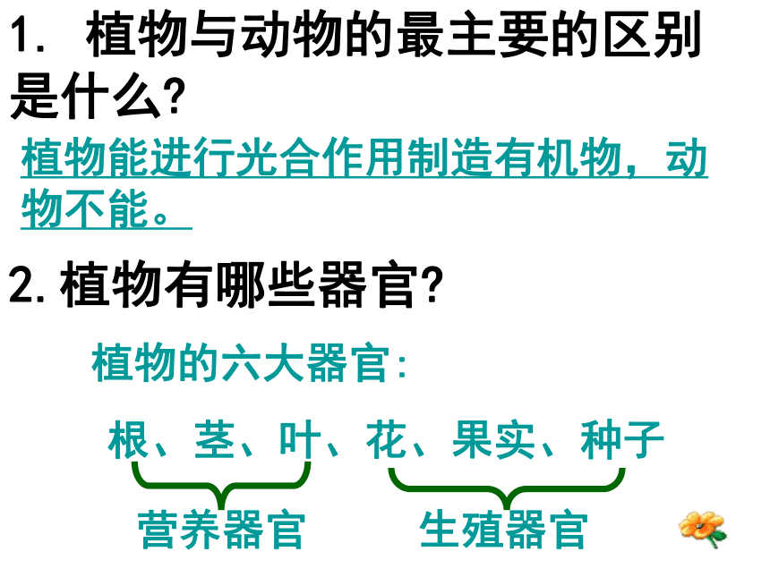 浙教版科学七年级上册课件：2.5 常见的植物（课件 24张ppt）