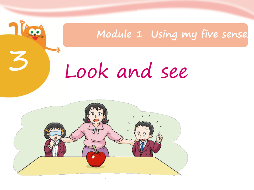 Unit 3 Look and see 课件