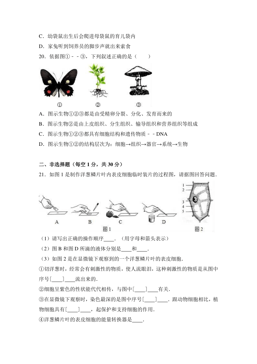 山东省德州市武城县2016-2017学年七年级（上）期末生物试卷（解析版）