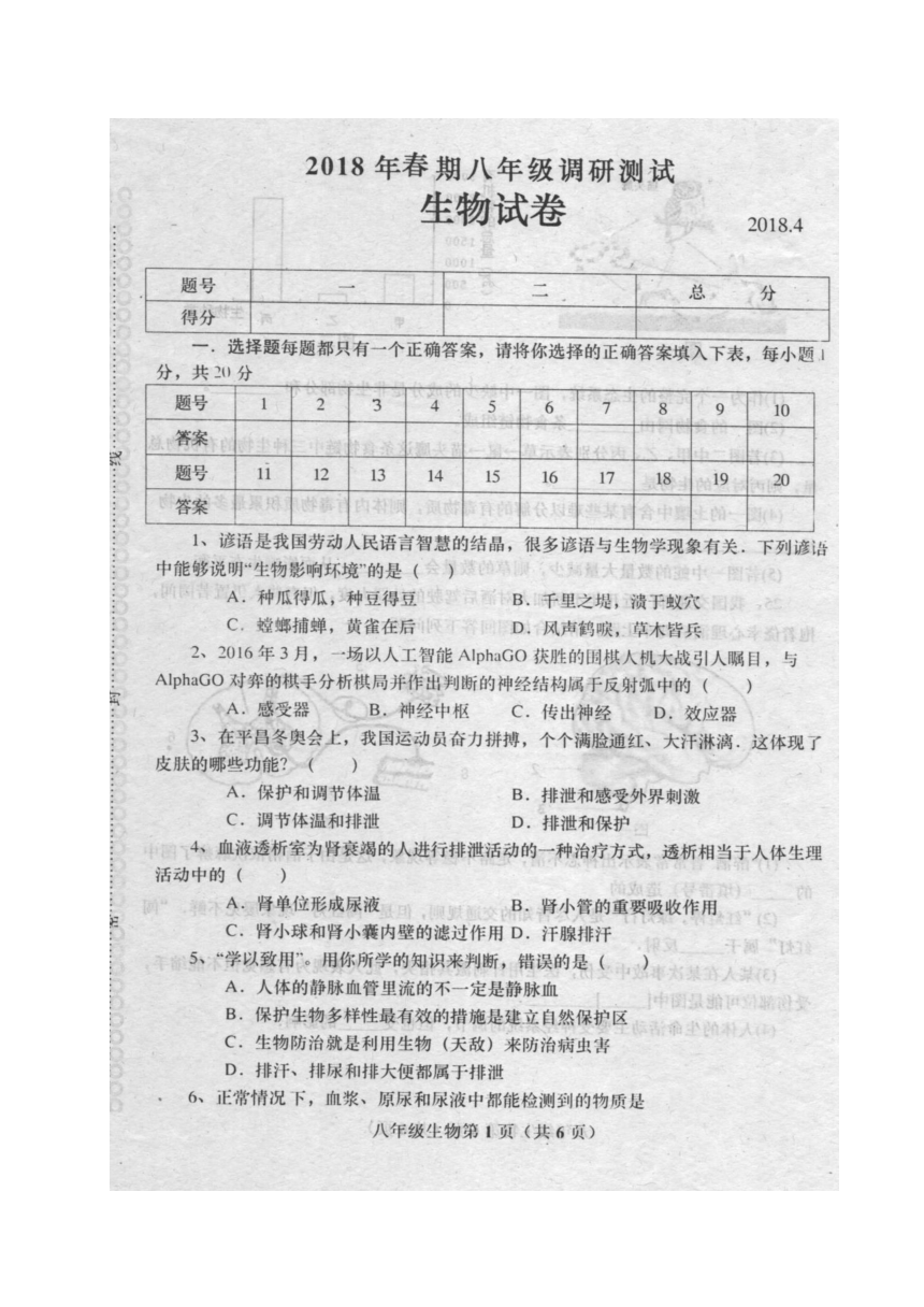 河南省南阳市镇平县2017-2018学年八年级下学期期中考试生物试题（图片版）