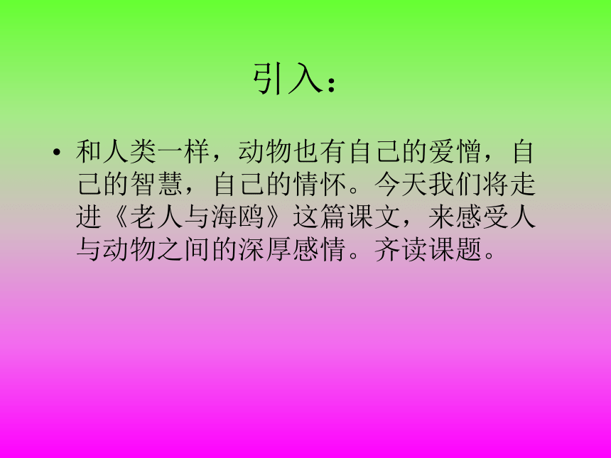 语文七年级下人教版（新疆专用）4.20《老人与海鸥》课件（62张）