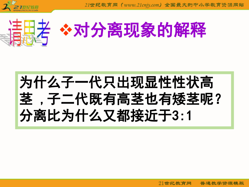 生物课件：《基因的分离定律》