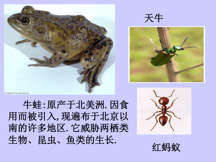 生物入侵者