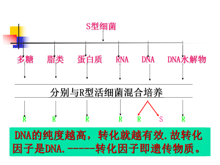 高中生物人教版必修二第三章第1节  DNA是主要的遗传物质   课件(37张PPT)