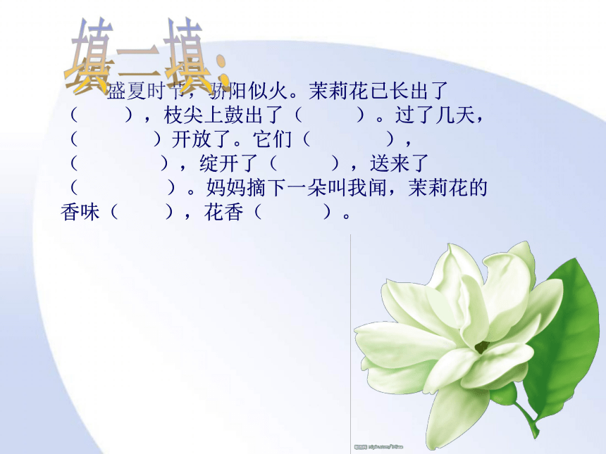 三年级语文上册 茉莉花 5课件 沪教版