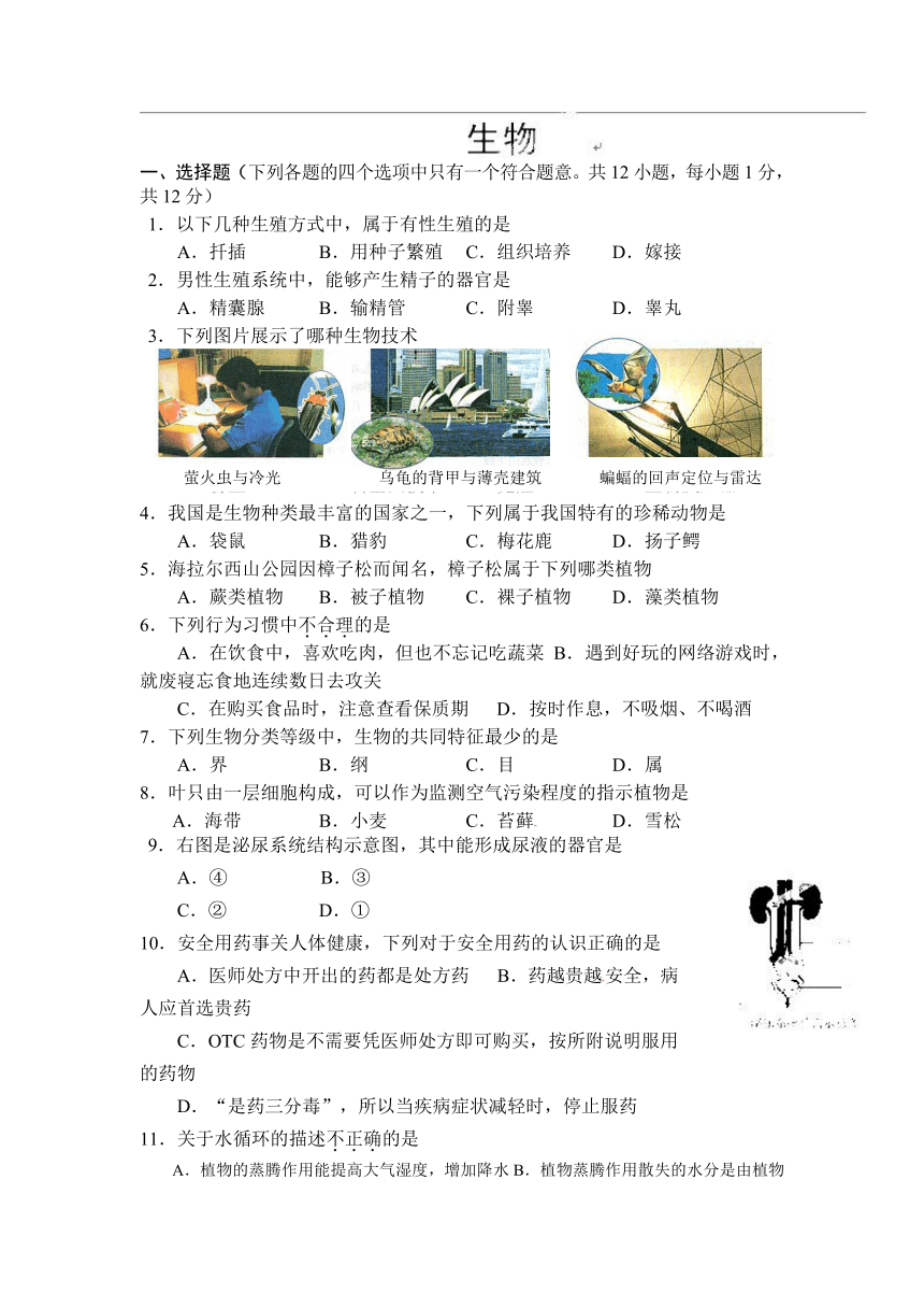 内蒙古海拉尔区第四中学2014届九年级11月月考生物试题（无答案）