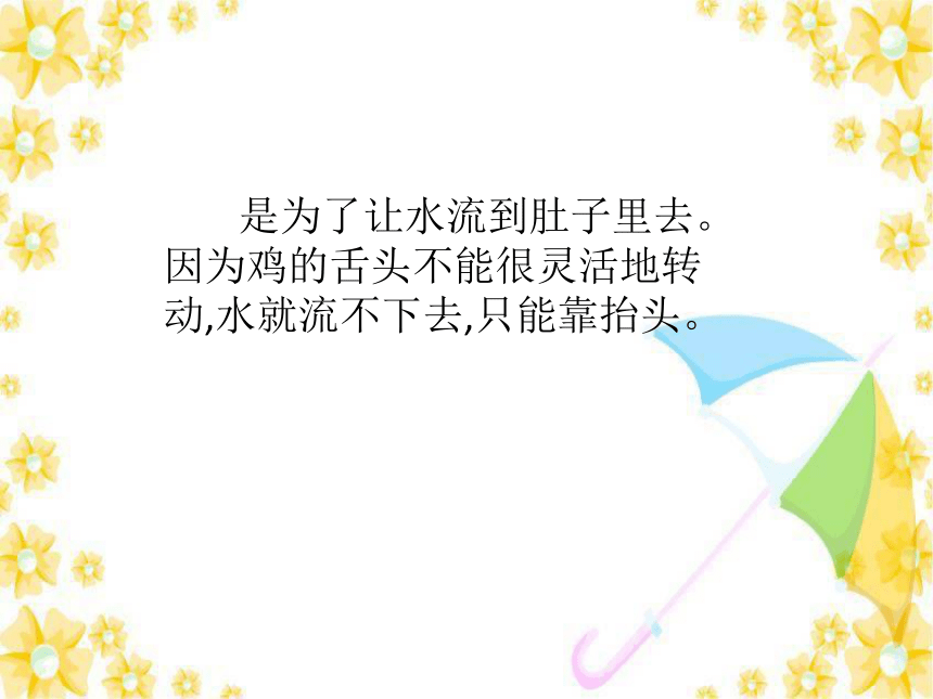 你留心了吗课件