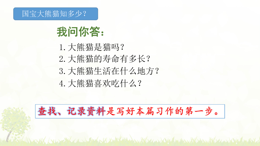 部编版三年级下册语文习作国宝大熊猫课件21张ppt