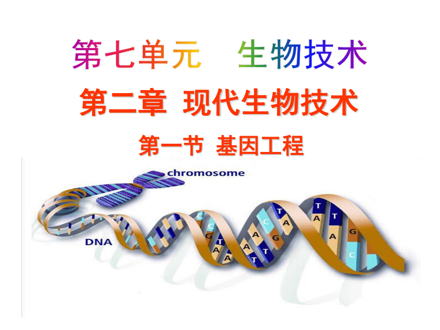 济南版生物八下7.2.1  基因工程 课件（19张ppt）