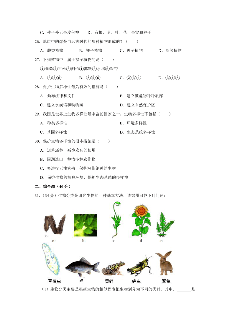 2020-2021学年甘肃省金昌市八年级（上）期中生物试卷（word版含解析）