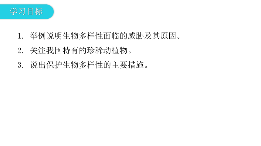 人教版生物八年级上册 第六单元 第三章 保护生物的多样性 课件 （共21张PPT）