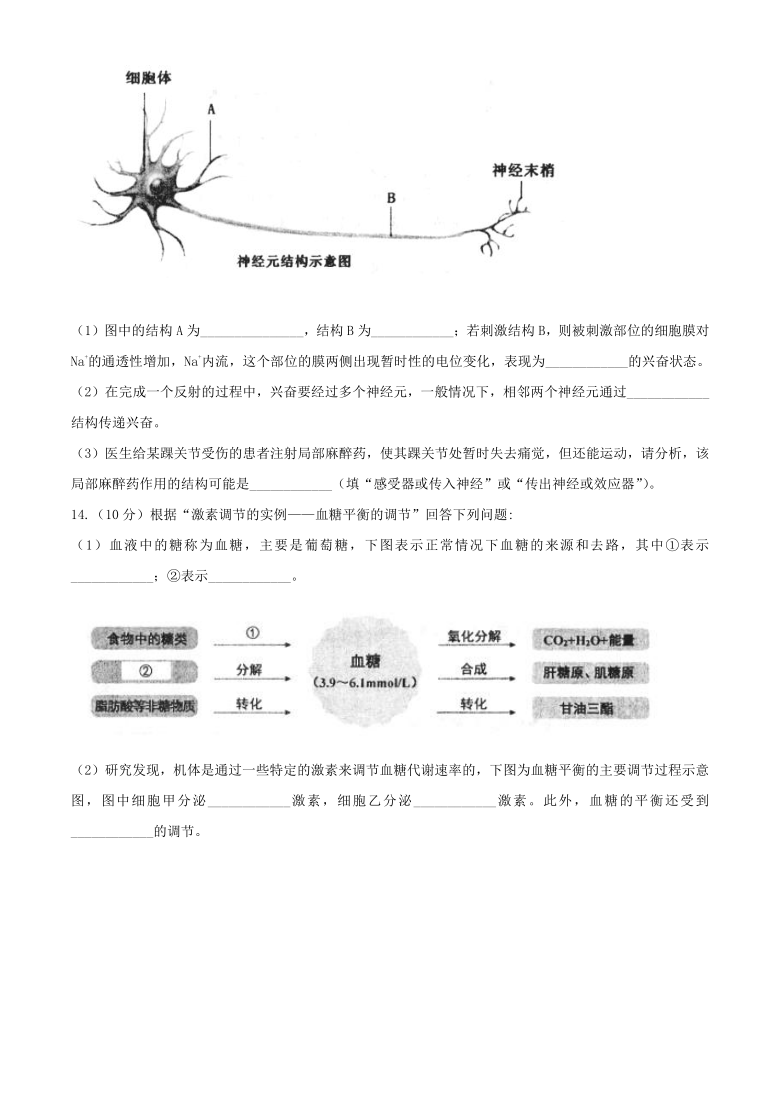 天津市部分区2020-2021学年高二上学期期末考试生物试题 Word版含答案