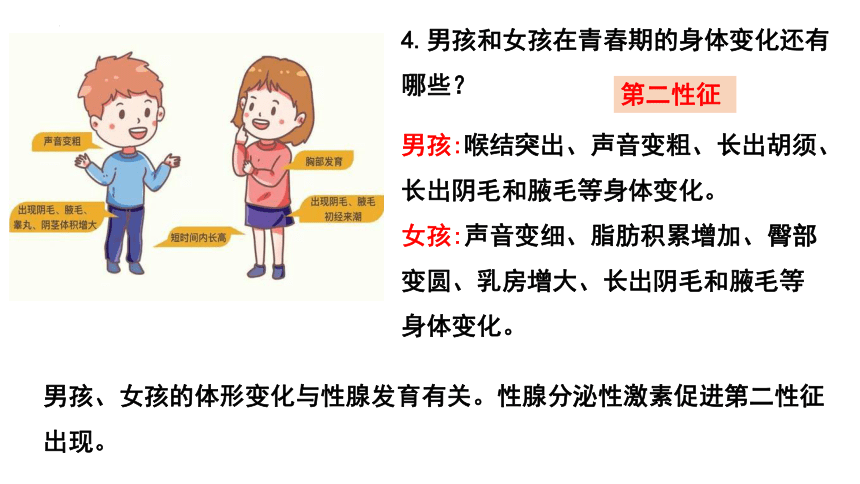 413青春期课件共15张ppt内嵌视频1个