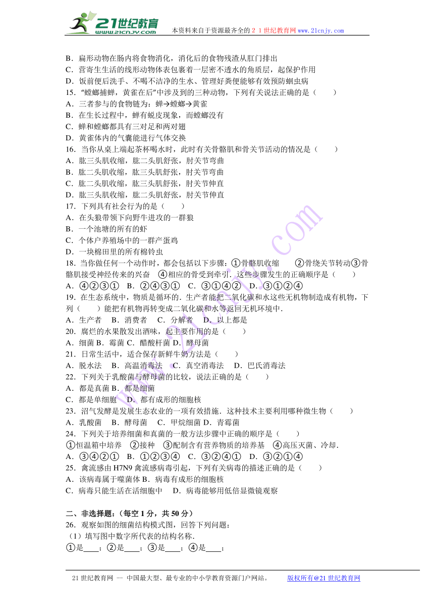 安徽省蚌埠市三校联考2016-2017学年八年级（上）期中生物试卷（解析版）