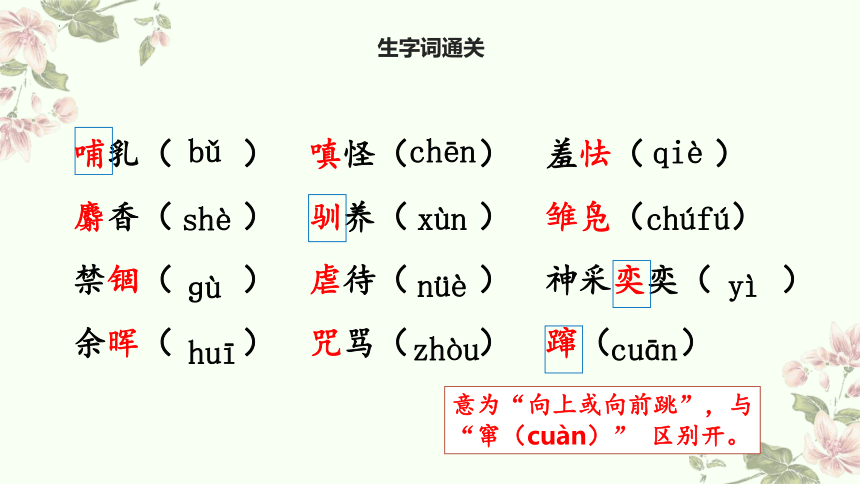 课件预览