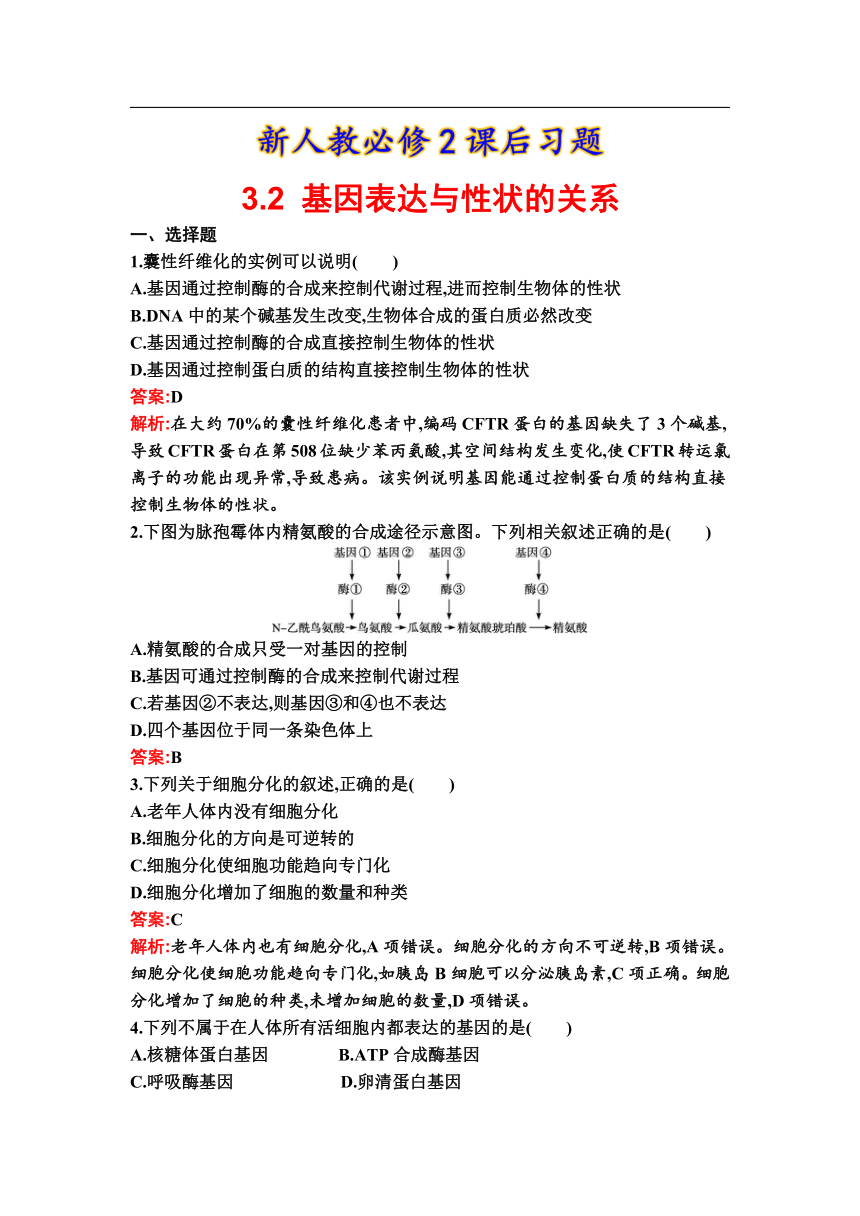 52基因表达与性状的关系ppt版学案word版练习