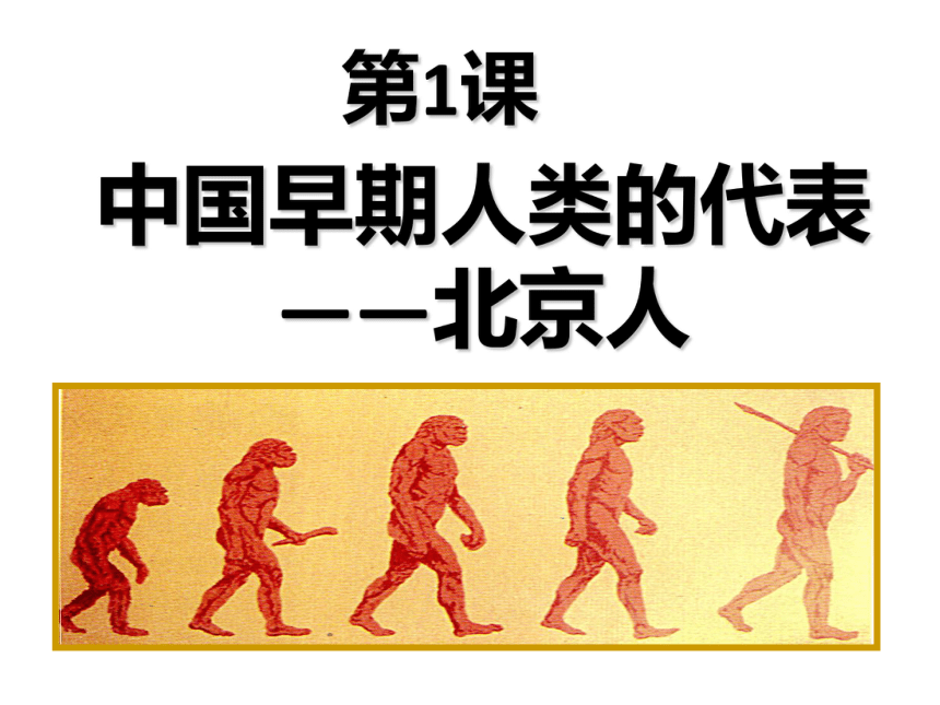 第1课  中国早期人类的代表——北京人(13ppt)