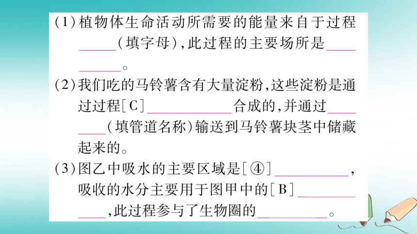 2018秋七年级生物上册第3单元第三_六章综合提升习题课件（26张PPT）