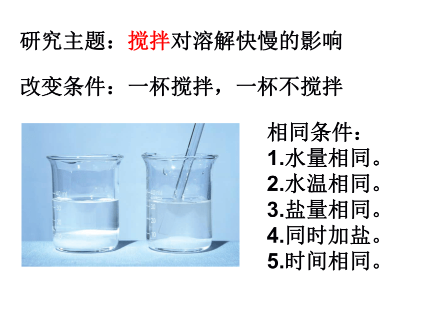 四年级科学上2、5溶解的快与慢